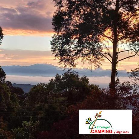 Imagen general del El Vergel Guaduas. Foto 11