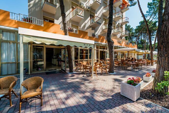 Imagen general del Elefantino Grey - FAMILY HOTEL. Foto 5