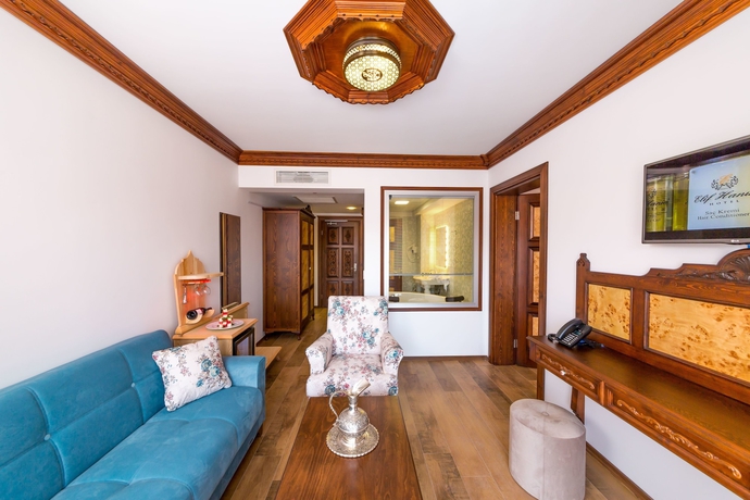 Imagen de los interiores del Elif Hanim Hotel and Spa. Foto 15