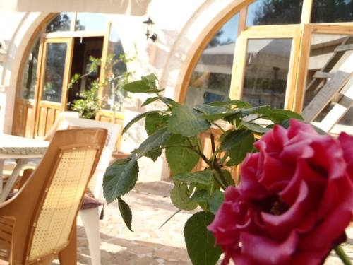 Imagen general del Elif Star Cave Hotel. Foto 10