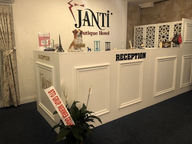 Imagen de los interiores del Elina Managed by Dedeman. Foto 20