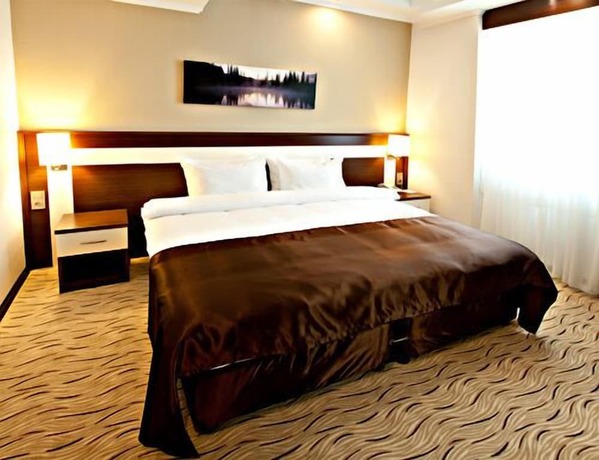Imagen de la habitación del Elit Class Hotel. Foto 13