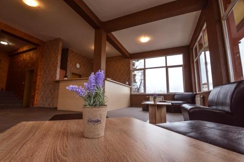 Imagen general del Elite Spetema Hotel. Foto 2