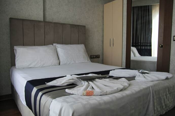 Imagen de la habitación del Elits Suits. Foto 19