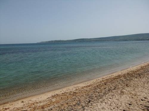 Imagen general del Elling Briz. Foto 12