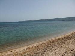 Imagen general del Elling Briz. Foto 23