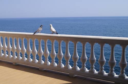 Imagen general del Elling Oliviya. Foto 15