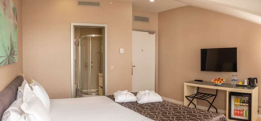 Imagen de la habitación del Elm Suite Hotel. Foto 14