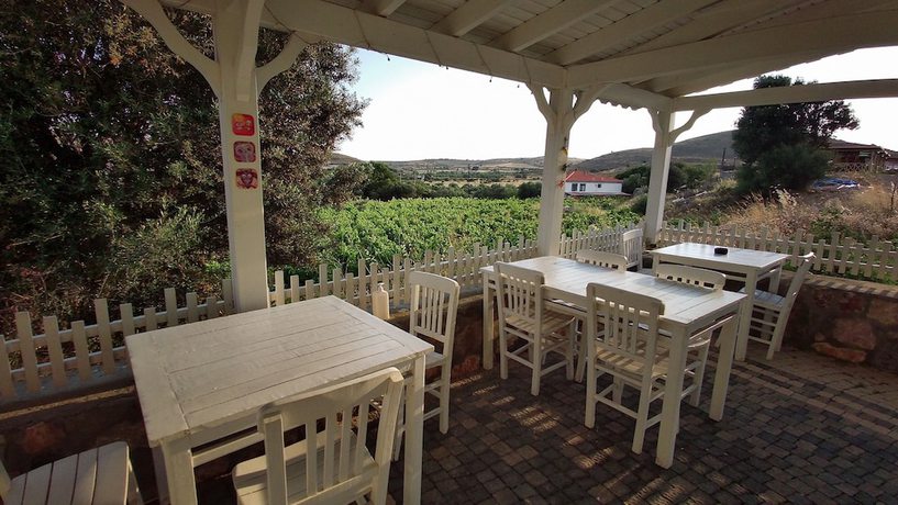 Imagen de los interiores del Elvin Bozcaada. Foto 20