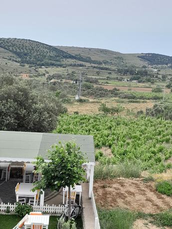 Imagen de la habitación del Elvin Bozcaada. Foto 15