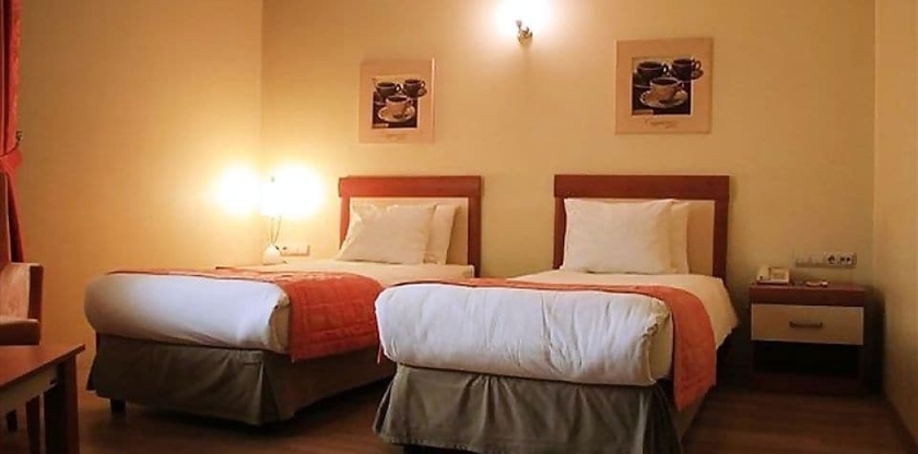 Imagen de la habitación del Emin Kocak Hotel Kayseri. Foto 15