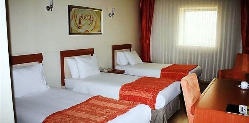 Imagen de la habitación del Emin Kocak Hotel Kayseri. Foto 16