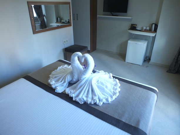 Imagen de la habitación del Emirtimes Hotel Kadikoy. Foto 7