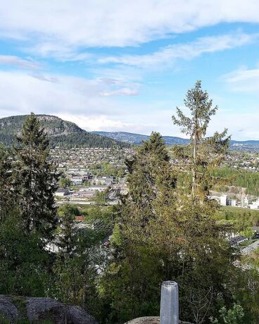 Imagen general del Emma Gjestehus. Foto 4