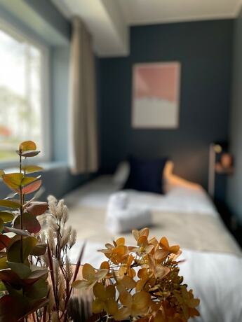 Imagen de la habitación del Emma Gjestehus. Foto 15