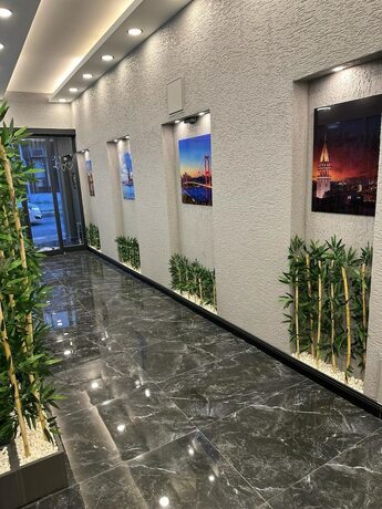Imagen general del Emsa Otel Maltepe. Foto 11