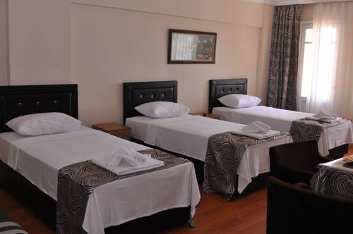 Imagen de la habitación del Emsa Otel Maltepedeki Eviniz. Foto 2