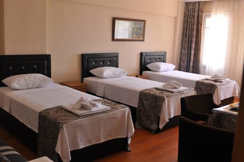 Imagen de la habitación del Emsa Otel Maltepedeki Eviniz. Foto 3