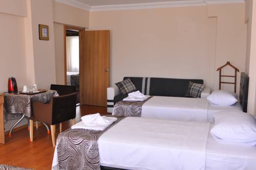 Imagen de la habitación del Emsa Otel Maltepedeki Eviniz. Foto 5