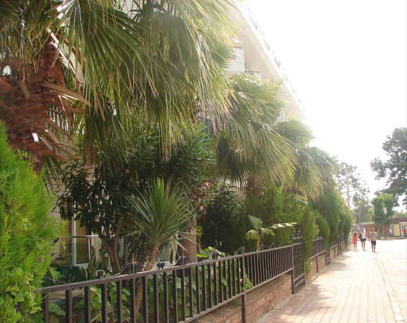 Imagen de los exteriores del Endam Hotel. Foto 9