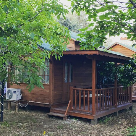 Imagen general del Endemik Bungalov. Foto 18