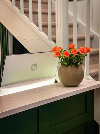 Imagen general del Engø Gård Hotel & Restaurant. Foto 13