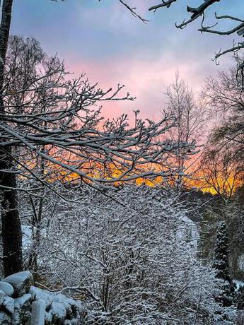 Imagen general del Engø Gård Hotel & Restaurant. Foto 16