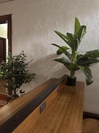 Imagen general del Enjoy Hostel. Foto 3