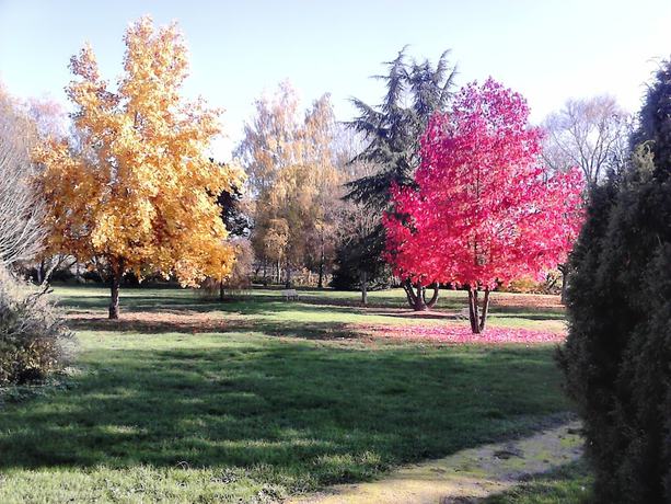 Imagen de los exteriores del Enzo Hotels Bulgneville By Kyriad Direct. Foto 17