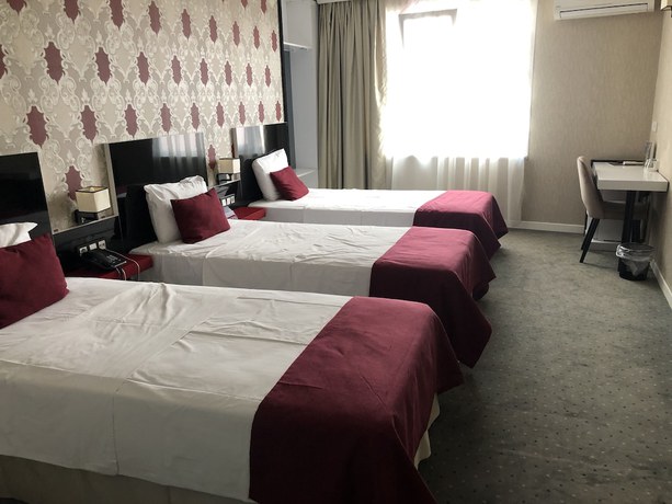 Imagen de la habitación del Era Palace Hotel, Umraniye. Foto 10