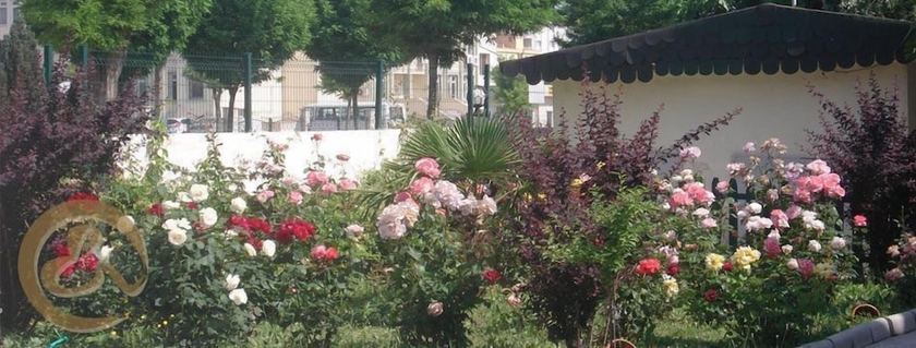 Imagen de los exteriores del Erdogan Ege Pansiyon. Foto 13
