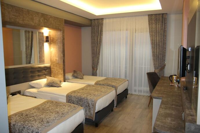 Imagen de la habitación del Ereza Otel. Foto 15