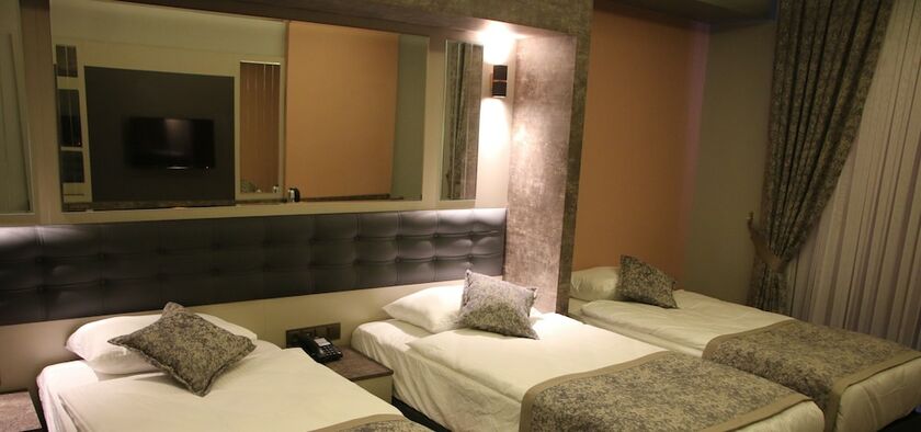 Imagen de la habitación del Ereza Otel. Foto 20
