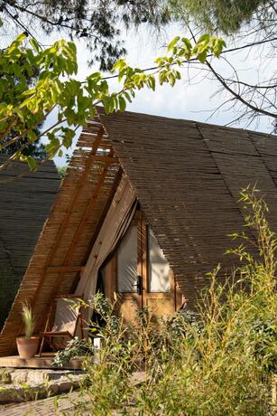 Imagen general del Ergon Beach House Nikiti. Foto 36