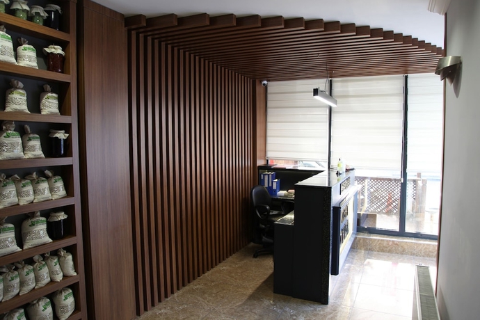 Imagen de los interiores del Erzincan Kent Otel. Foto 17