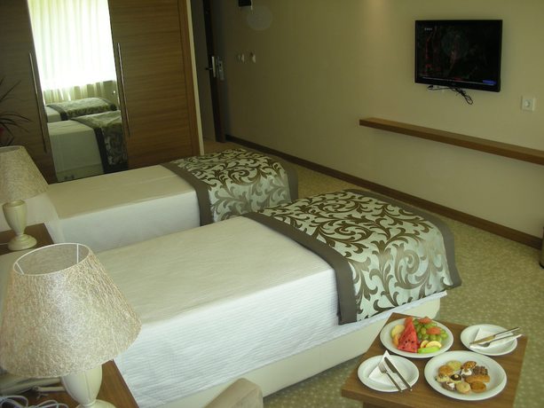 Imagen de la habitación del Esila Hotel, Çankaya. Foto 1
