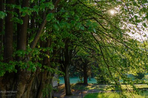 Imagen de la habitación del Espace Bernadette Soubirous Nevers. Foto 7