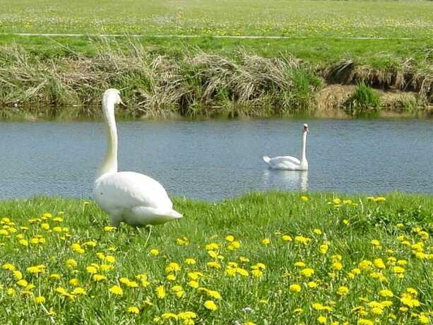 Imagen general del Espace Morteau. Foto 3