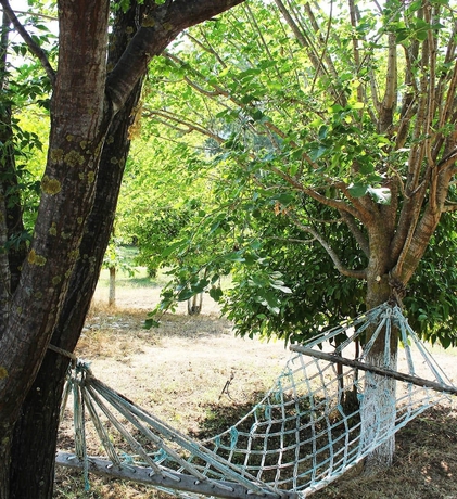Imagen de la habitación del Esralina Pansiyon. Foto 15