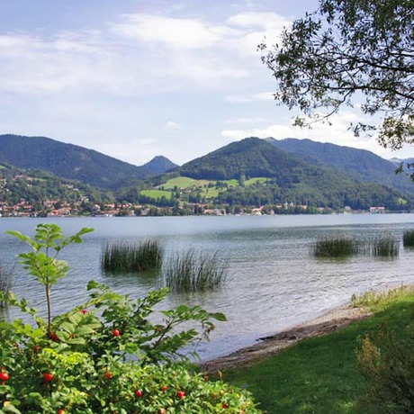 Imagen de los exteriores del Estudio - Landhotel Sonnenfeld. Foto 16