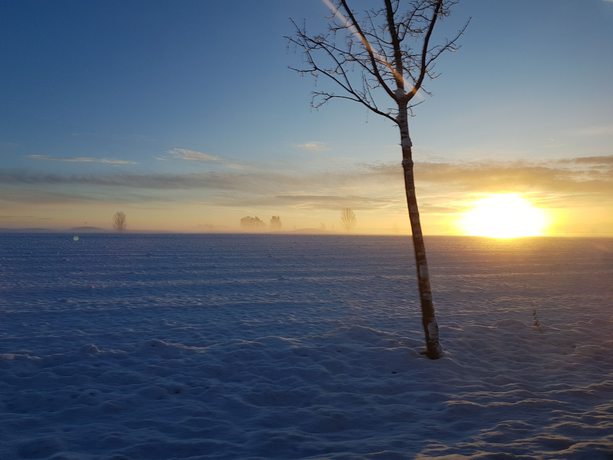 Imagen de los exteriores del Estudio - Landhotel Sonnenfeld. Foto 17