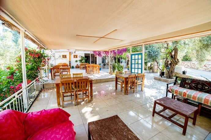 Imagen general del Eucalyptus Pension. Foto 3