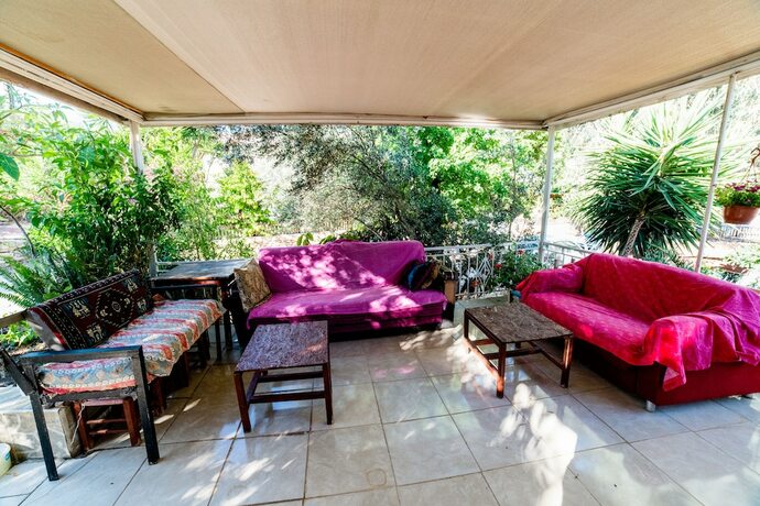 Imagen general del Eucalyptus Pension. Foto 8