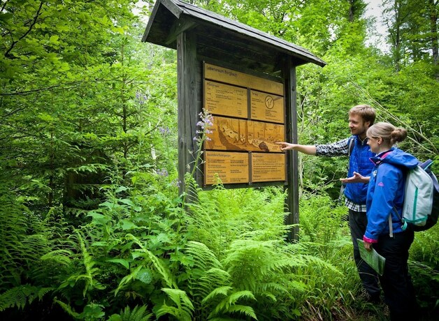 Imagen general del Euler Neusch&ouml;nau Landgasthof. Foto 9