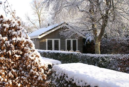 Imagen de la habitación del Eureka Vakantiehuisjes. Foto 8
