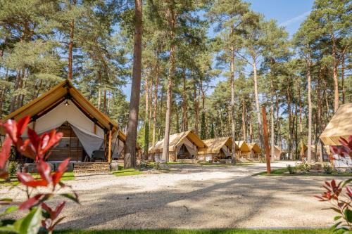 Imagen de la habitación del EuroParcs Hoge Kempen. Foto 17