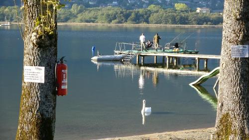 Imagen general del EuroParcs Ossiacher See. Foto 6
