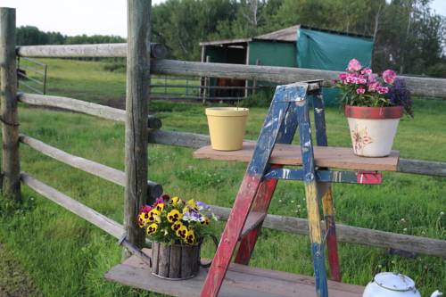 Imagen de la habitación del Evergreen Birch Lodge. Foto 5