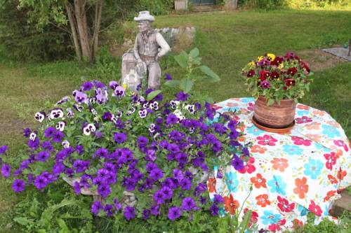 Imagen de la habitación del Evergreen Birch Lodge. Foto 8