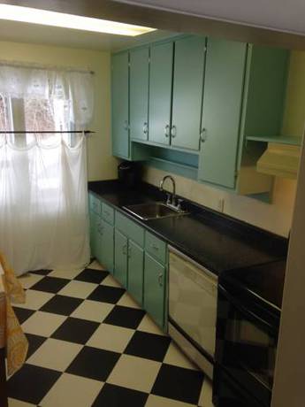 Imagen de la habitación del Evergreen Birch Lodge. Foto 12